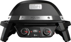Weber Pulse 2000