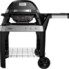 Weber Pulse 2000 Met Onderstel