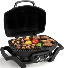 Napoleon TravelQ PRO285 -Pannen- Kokers Winkel 1414679