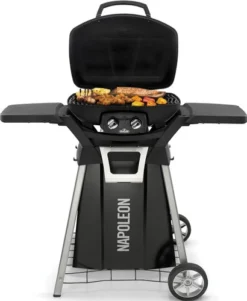 Napoleon TravelQ PRO285E + Onderstel -Pannen- Kokers Winkel 1414689