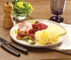 Tefal Gourmet 10 Inox & Design RE4588 -Pannen- Kokers Winkel 1429965