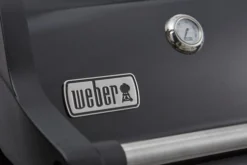 Weber Spirit E-225 GBS Zwart -Pannen- Kokers Winkel 1557840