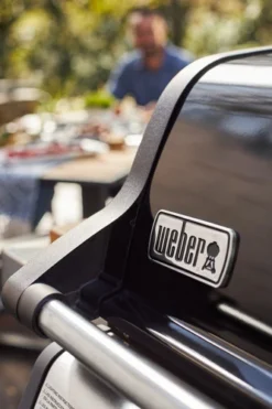 Weber Spirit E-225 GBS Zwart -Pannen- Kokers Winkel 1557847