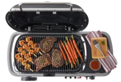 Weber Traveler -Pannen- Kokers Winkel 1557930