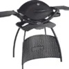 Weber Q2200 Met Onderstel