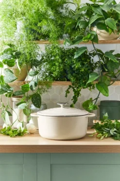 Tefal LOV Lage Braadpan 28 Cm Beige -Pannen- Kokers Winkel 1803337