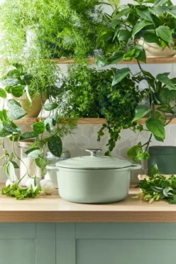 Tefal LOV Braadpan 29 Cm Groen -Pannen- Kokers Winkel 1803396