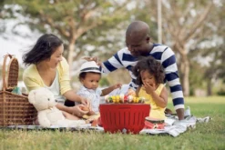 LotusGrill XL 43cm Rood -Pannen- Kokers Winkel 1833110