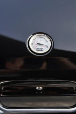 Weber Lumin Black Met Onderstel -Pannen- Kokers Winkel 1885251 1