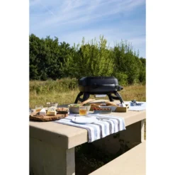 Napoleon TravelQ 240 24 Napoleon TravelQ 240 -Pannen- Kokers Winkel 1890007