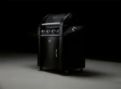 Boretti Robusto -Pannen- Kokers Winkel 1953225