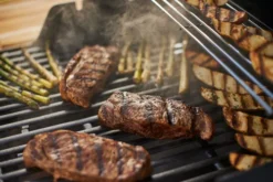 Weber Spirit E-325 GBS Zwart -Pannen- Kokers Winkel 1972070