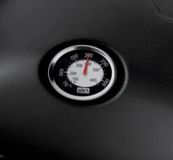 Weber Q1200 -Pannen- Kokers Winkel 1972320