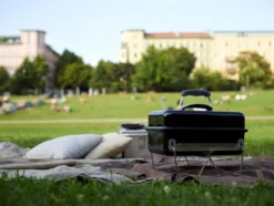 Weber Go-Anywhere 11 Weber Go-Anywhere -Pannen- Kokers Winkel 283856