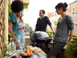 Weber Q2400 -Pannen- Kokers Winkel 283931