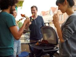 Weber Q2400 + Hoes -Pannen- Kokers Winkel 283932 1