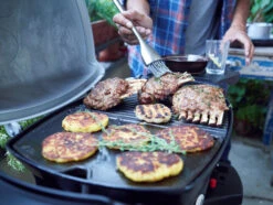 Weber Q1200 -Pannen- Kokers Winkel 375382