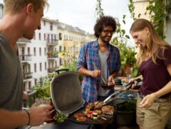 Weber Q1200 -Pannen- Kokers Winkel 375384