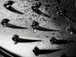 Staub Ronde Stoof-/Braadpan 28 Cm Zwart 16 Staub Ronde Stoof-/Braadpan 28 Cm Zwart -Pannen- Kokers Winkel 440139