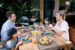 Weber Pulse 2000 + Onderstel + Hoes -Pannen- Kokers Winkel 962328 1