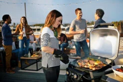 Weber Pulse 2000 + Onderstel + Hoes -Pannen- Kokers Winkel 962329 1