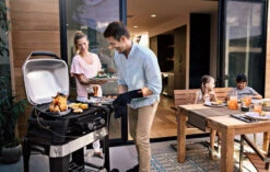 Weber Pulse 2000 Met Onderstel -Pannen- Kokers Winkel 963126