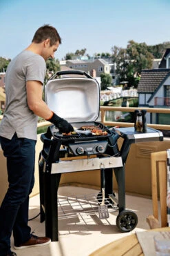 Weber Pulse 2000 + Onderstel + Hoes -Pannen- Kokers Winkel 963128 1