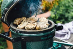 Big Green Egg Mini + Onderstel -Pannen- Kokers Winkel 999327